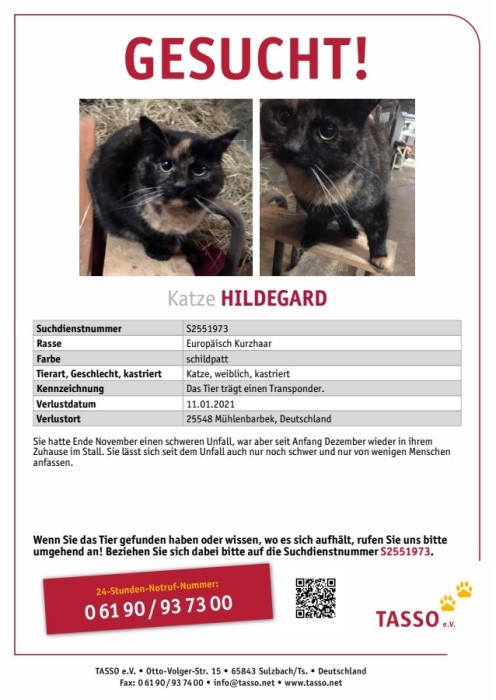 2021-01-19 Hildegard